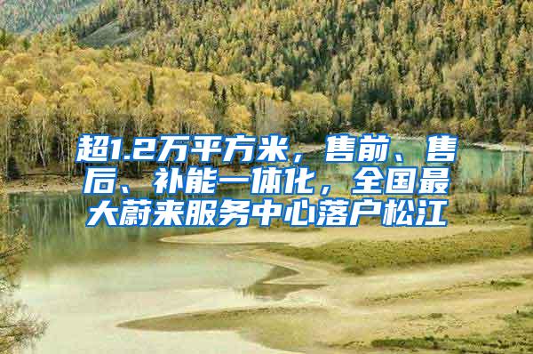 超1.2万平方米，售前、售后、补能一体化，全国最大蔚来服务中心落户松江