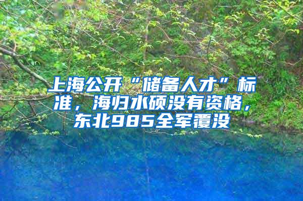 上海公开“储备人才”标准，海归水硕没有资格，东北985全军覆没