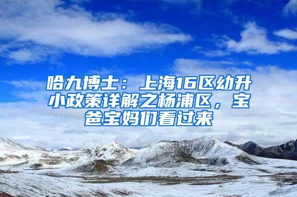 哈九博士：上海16区幼升小政策详解之杨浦区，宝爸宝妈们看过来