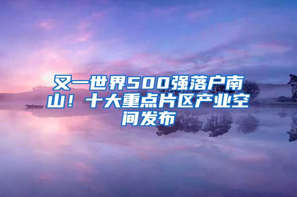 又一世界500强落户南山！十大重点片区产业空间发布