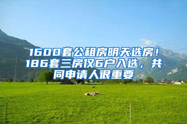 1600套公租房明天选房！186套三房仅6户入选，共同申请人很重要