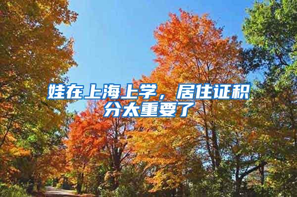 娃在上海上学，居住证积分太重要了