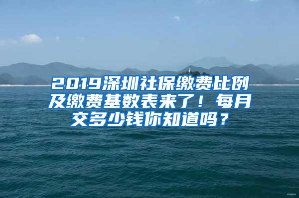 2019深圳社保缴费比例及缴费基数表来了！每月交多少钱你知道吗？