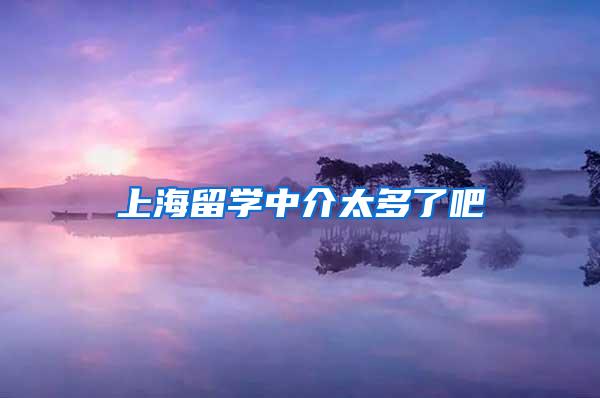 上海留学中介太多了吧