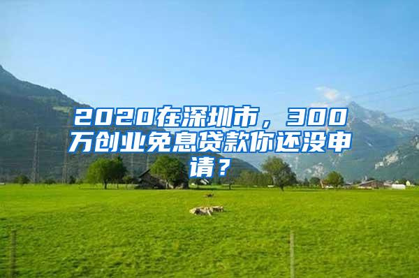 2020在深圳市，300万创业免息贷款你还没申请？