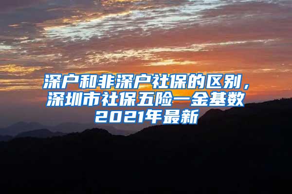 深户和非深户社保的区别，深圳市社保五险一金基数2021年最新