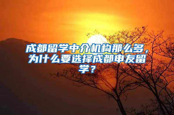 成都留学中介机构那么多，为什么要选择成都申友留学？