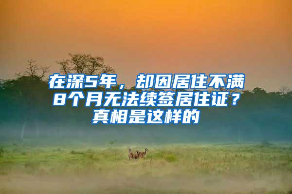 在深5年，却因居住不满8个月无法续签居住证？真相是这样的