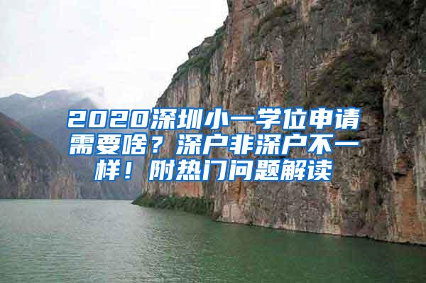 2020深圳小一学位申请需要啥？深户非深户不一样！附热门问题解读