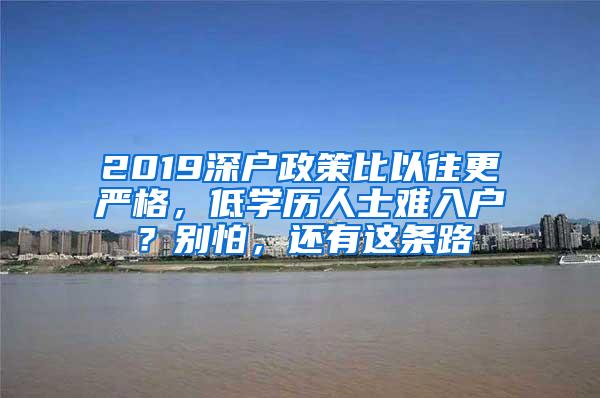 2019深户政策比以往更严格，低学历人士难入户？别怕，还有这条路