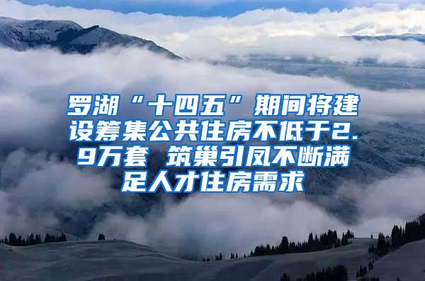 罗湖“十四五”期间将建设筹集公共住房不低于2.9万套 筑巢引凤不断满足人才住房需求