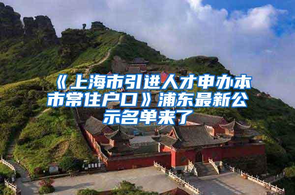 《上海市引进人才申办本市常住户口》浦东最新公示名单来了