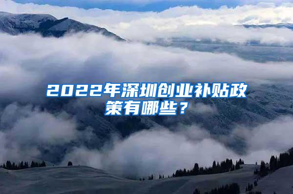 2022年深圳创业补贴政策有哪些？