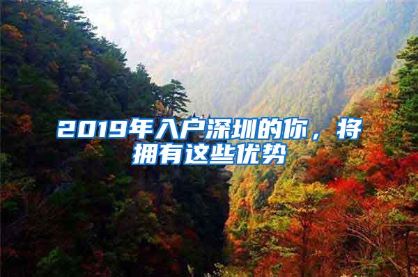 2019年入户深圳的你，将拥有这些优势