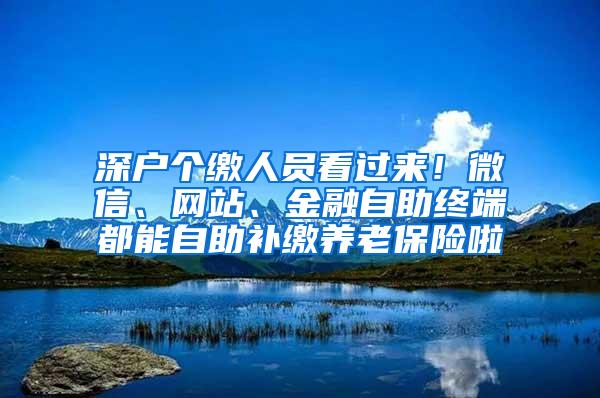 深户个缴人员看过来！微信、网站、金融自助终端都能自助补缴养老保险啦