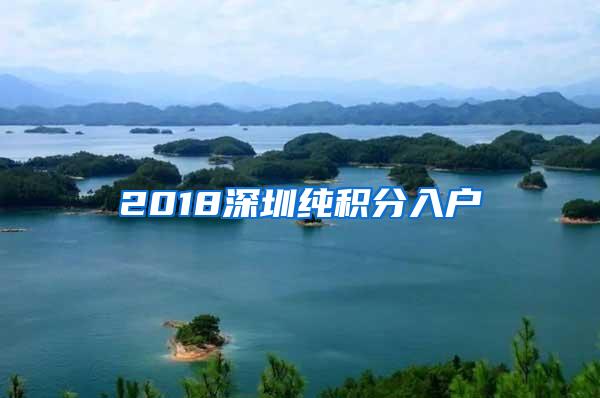 2018深圳纯积分入户