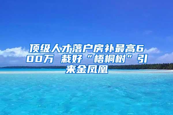 顶级人才落户房补最高600万 栽好“梧桐树”引来金凤凰