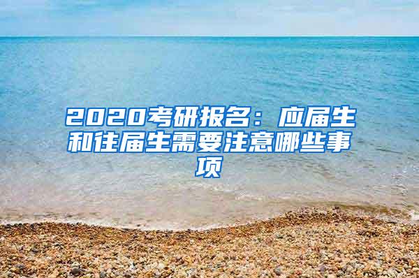 2020考研报名：应届生和往届生需要注意哪些事项