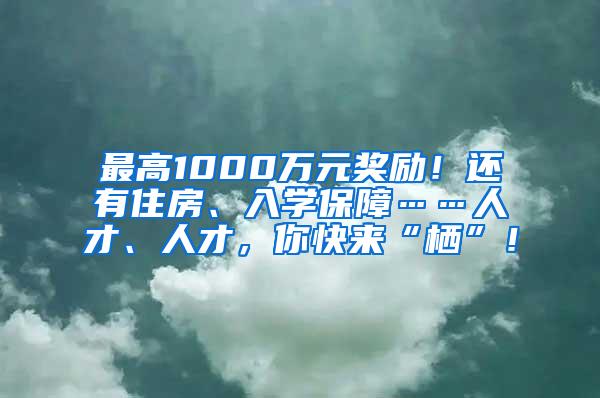 最高1000万元奖励！还有住房、入学保障……人才、人才，你快来“栖”！