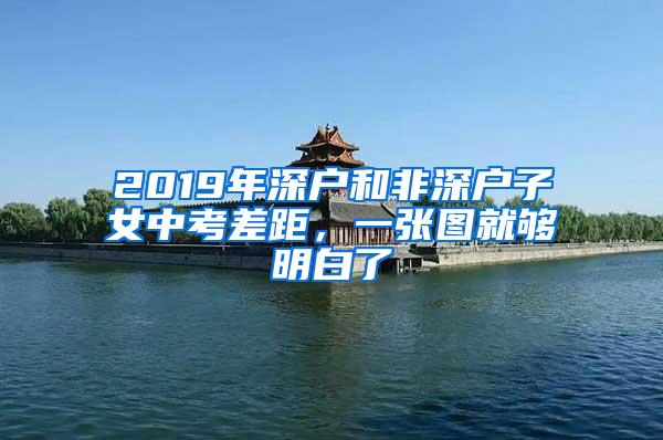 2019年深户和非深户子女中考差距，一张图就够明白了