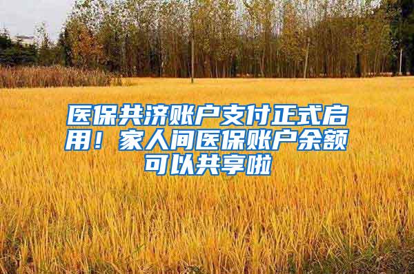 医保共济账户支付正式启用！家人间医保账户余额可以共享啦