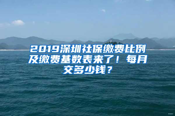 2019深圳社保缴费比例及缴费基数表来了！每月交多少钱？