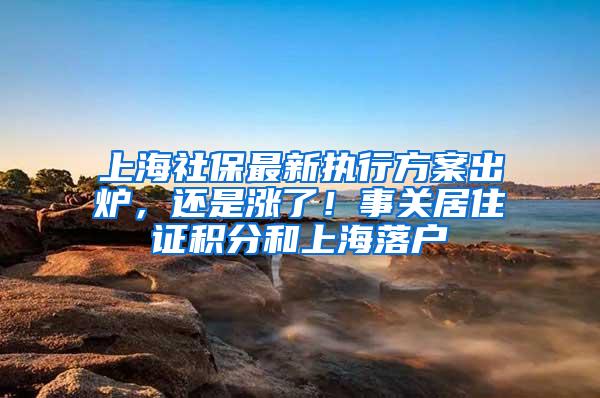 上海社保最新执行方案出炉，还是涨了！事关居住证积分和上海落户