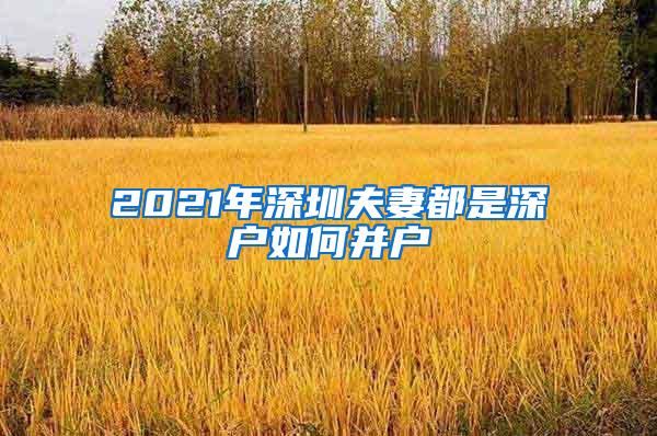 2021年深圳夫妻都是深户如何并户