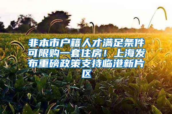 非本市户籍人才满足条件可限购一套住房！上海发布重磅政策支持临港新片区