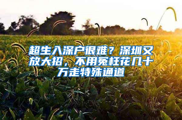 超生入深户很难？深圳又放大招，不用冤枉花几十万走特殊通道