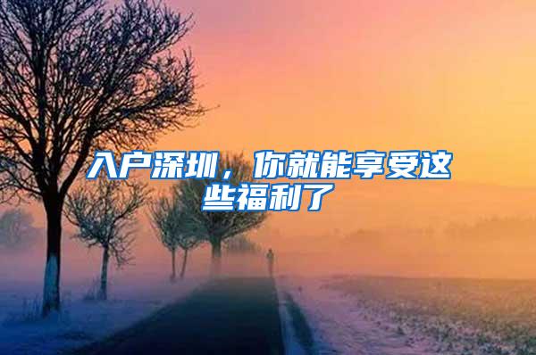 入户深圳，你就能享受这些福利了