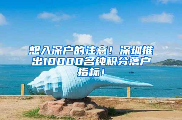 想入深户的注意！深圳推出10000名纯积分落户指标！