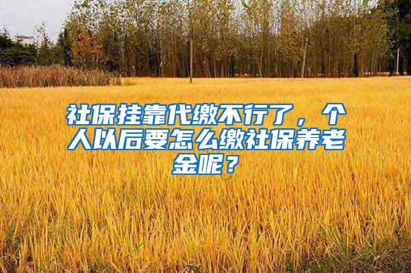 社保挂靠代缴不行了，个人以后要怎么缴社保养老金呢？