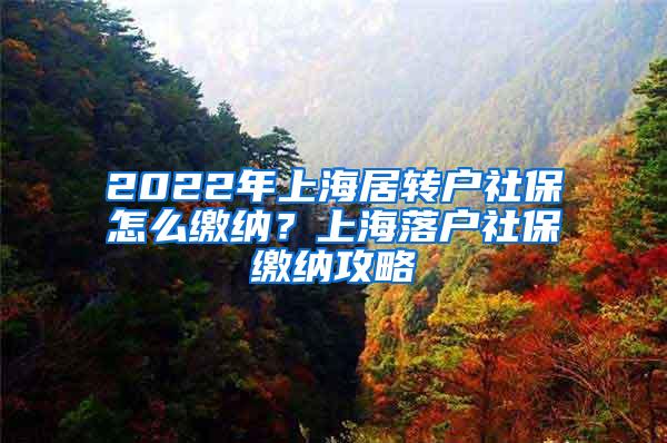 2022年上海居转户社保怎么缴纳？上海落户社保缴纳攻略