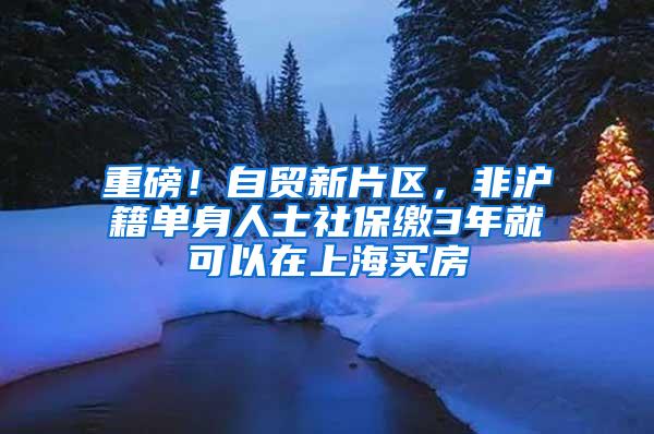 重磅！自贸新片区，非沪籍单身人士社保缴3年就可以在上海买房