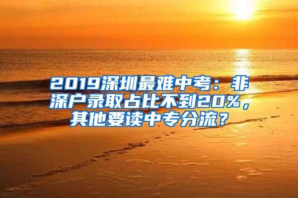 2019深圳最难中考：非深户录取占比不到20%，其他要读中专分流？