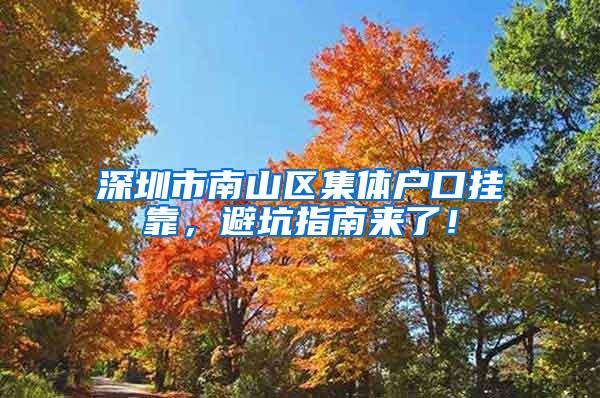 深圳市南山区集体户口挂靠，避坑指南来了！