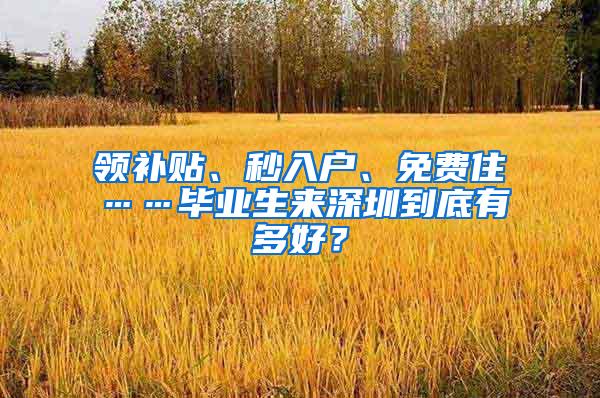 领补贴、秒入户、免费住……毕业生来深圳到底有多好？