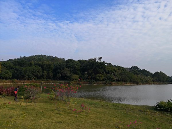 深圳调干入户流程