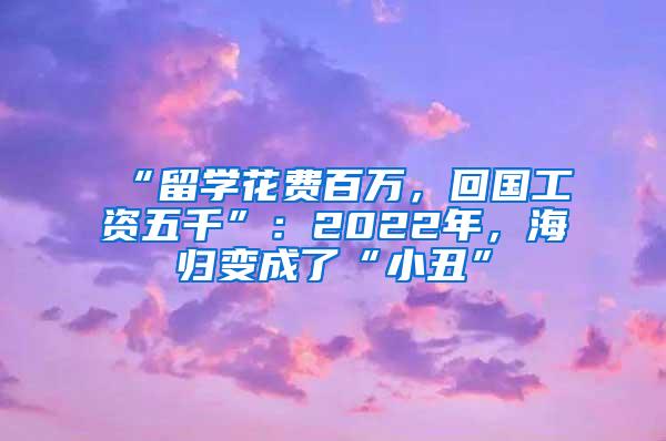 “留学花费百万，回国工资五千”：2022年，海归变成了“小丑”