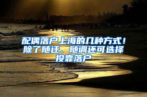 配偶落户上海的几种方式！除了随迁、随调还可选择投靠落户