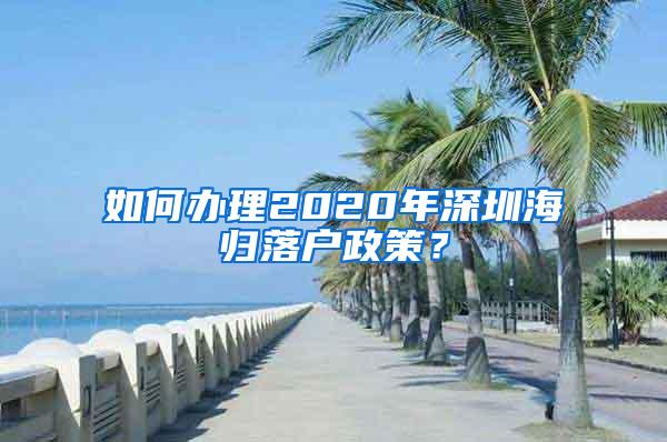 如何办理2020年深圳海归落户政策？