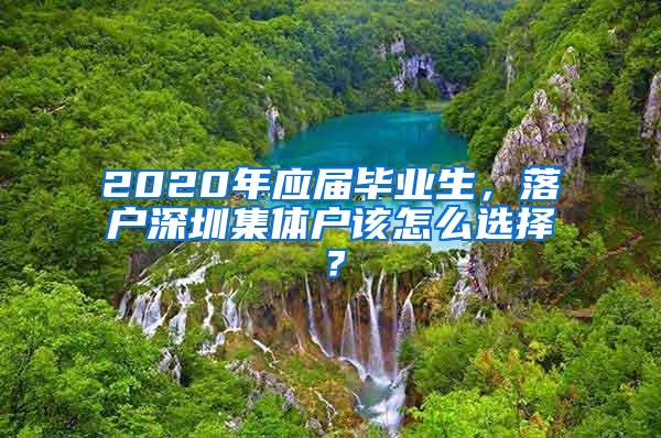 2020年应届毕业生，落户深圳集体户该怎么选择？