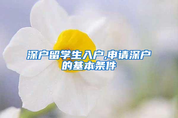 深户留学生入户,申请深户的基本条件