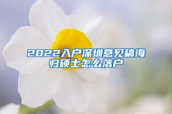 2022入户深圳意见稿海归硕士怎么落户