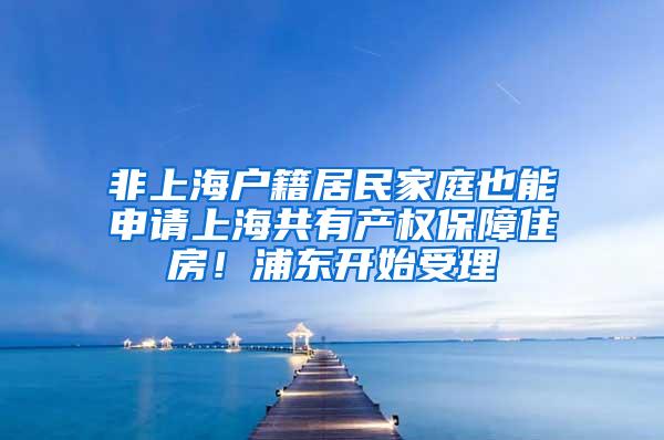 非上海户籍居民家庭也能申请上海共有产权保障住房！浦东开始受理