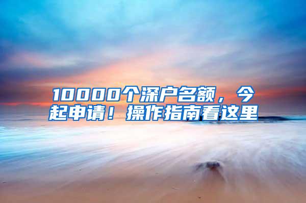 10000个深户名额，今起申请！操作指南看这里