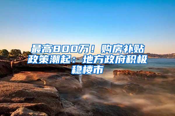 最高800万！购房补贴政策潮起：地方政府积极稳楼市