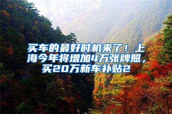 买车的最好时机来了！上海今年将增加4万张牌照，买20万新车补贴2