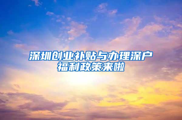 深圳创业补贴与办理深户福利政策来啦